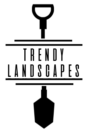 Trendy Landscapes